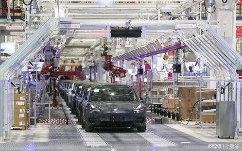 特斯拉工厂机器人伤人，马斯克仍坚称自动化安全，宁波广告设计行业关注